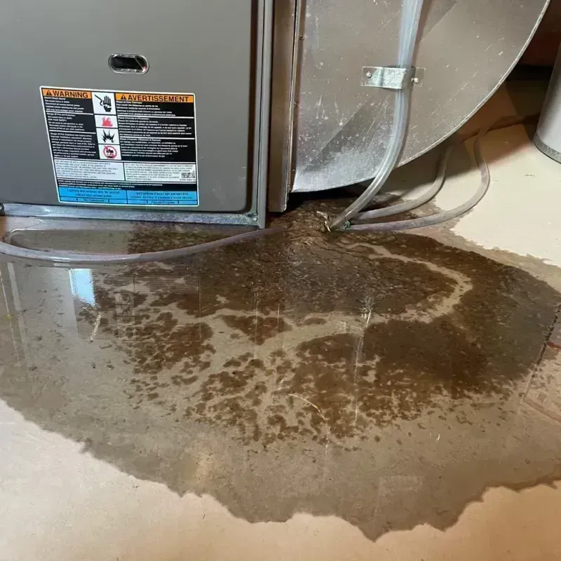 Appliance Leak Cleanup in Marathon, FL